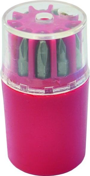 Assortimentsbox Schroefbits 10-delig